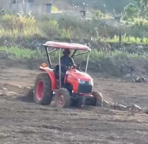 Upaya Ekonomi di Lahan Bekas Tambang Bauksit